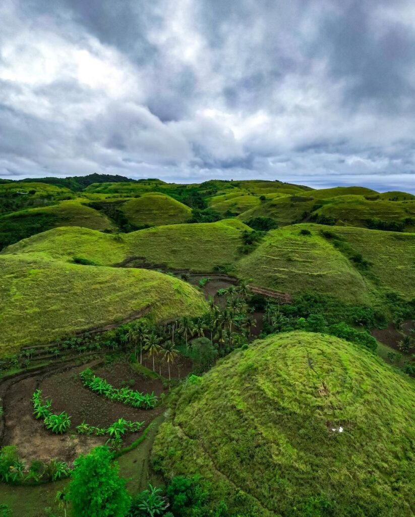 Teletubbies Hill Banner