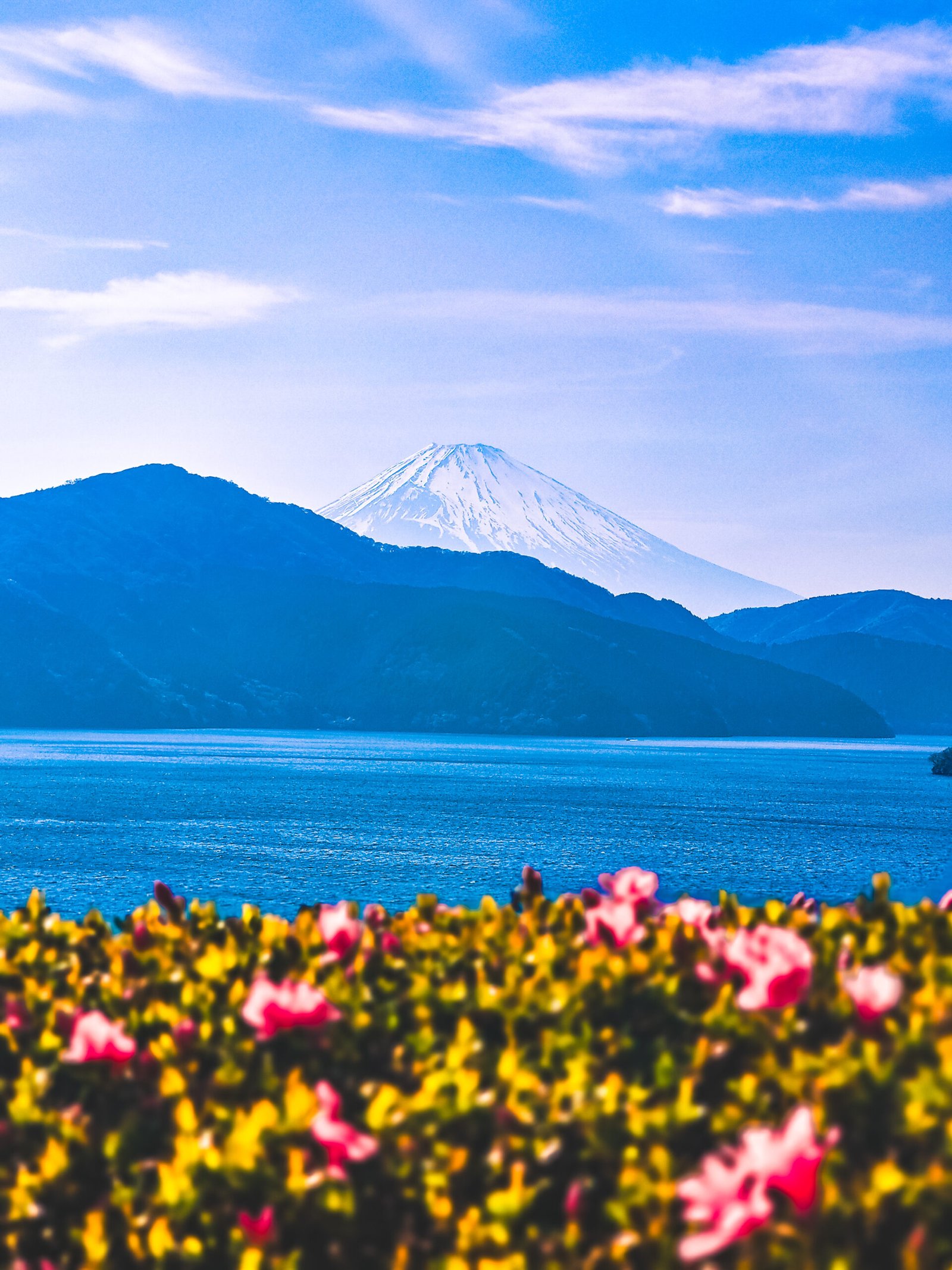 Mt Fuji