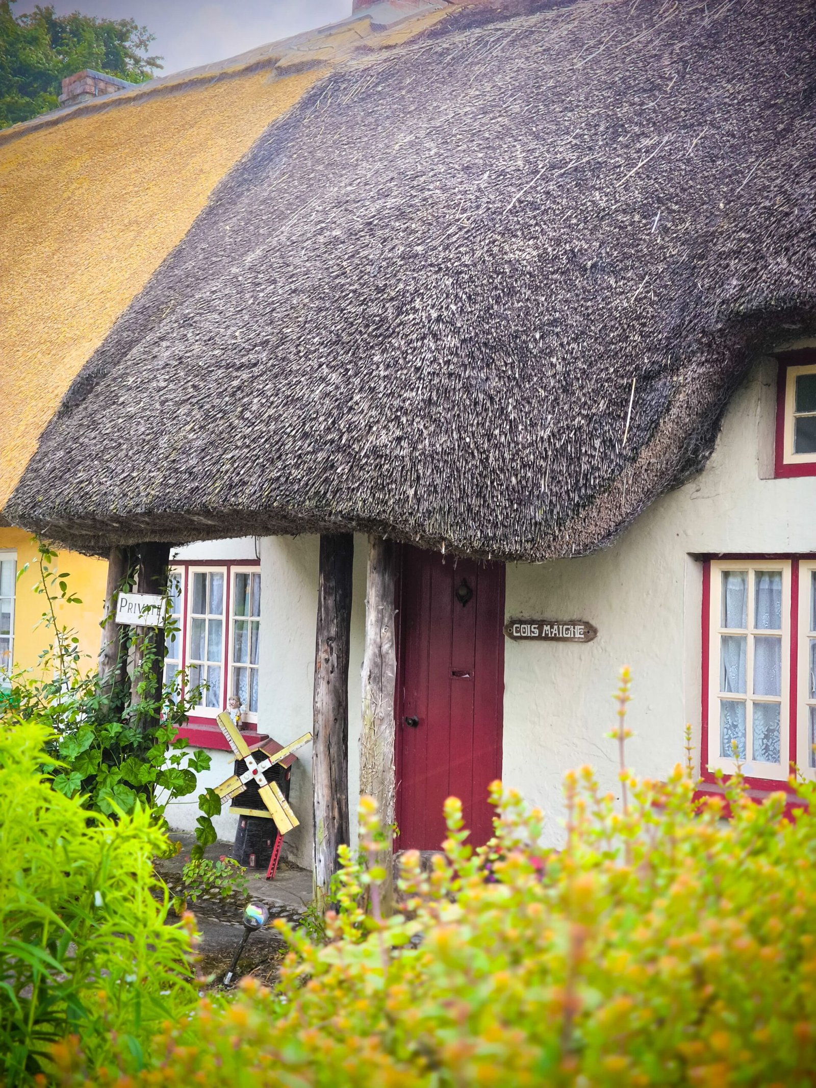 Adare