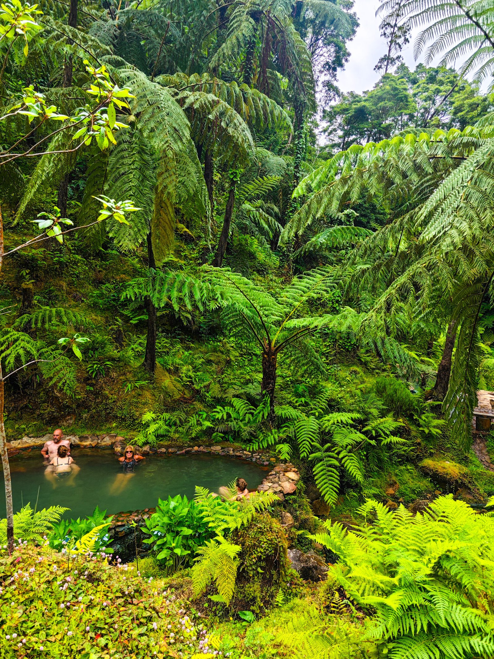 Azores Thermal Pool