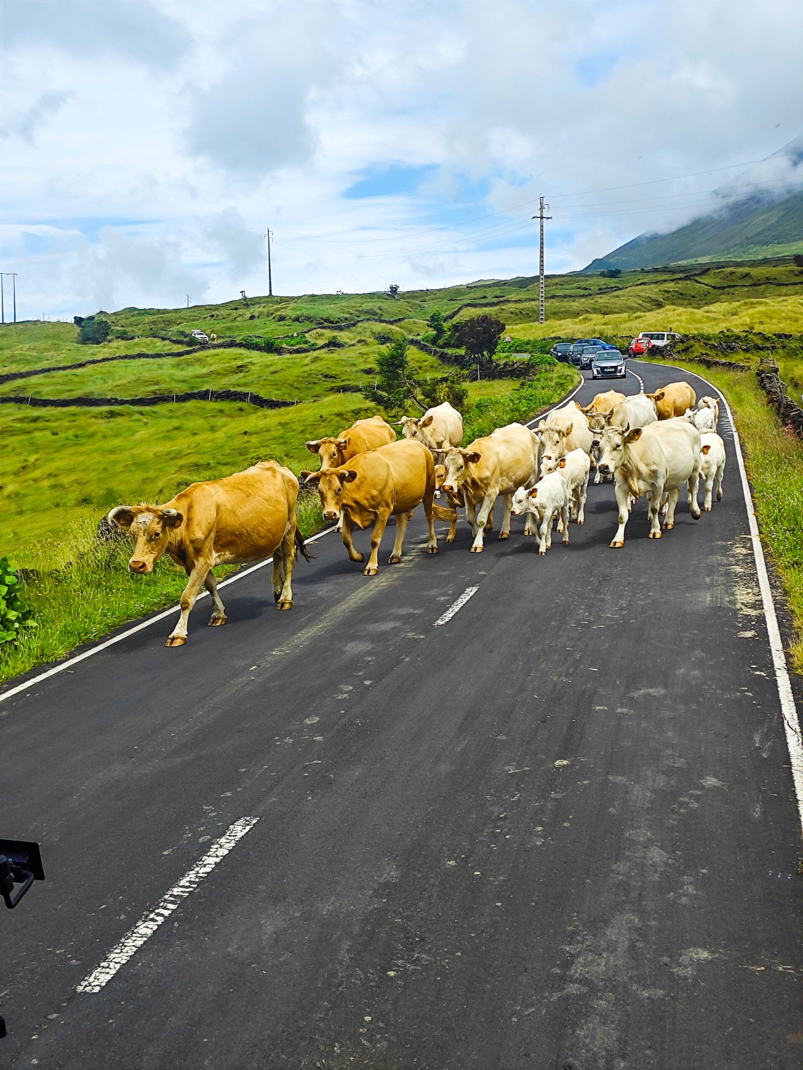 Azores Traffic Jam