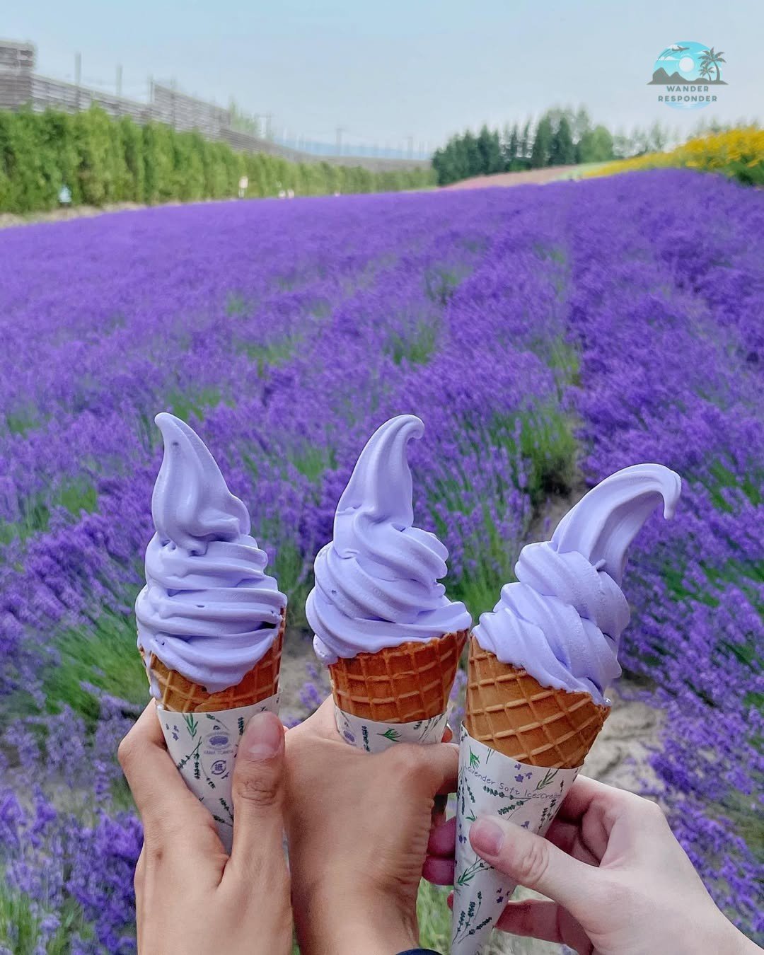 Farm Tomita Lavender Ice Cream