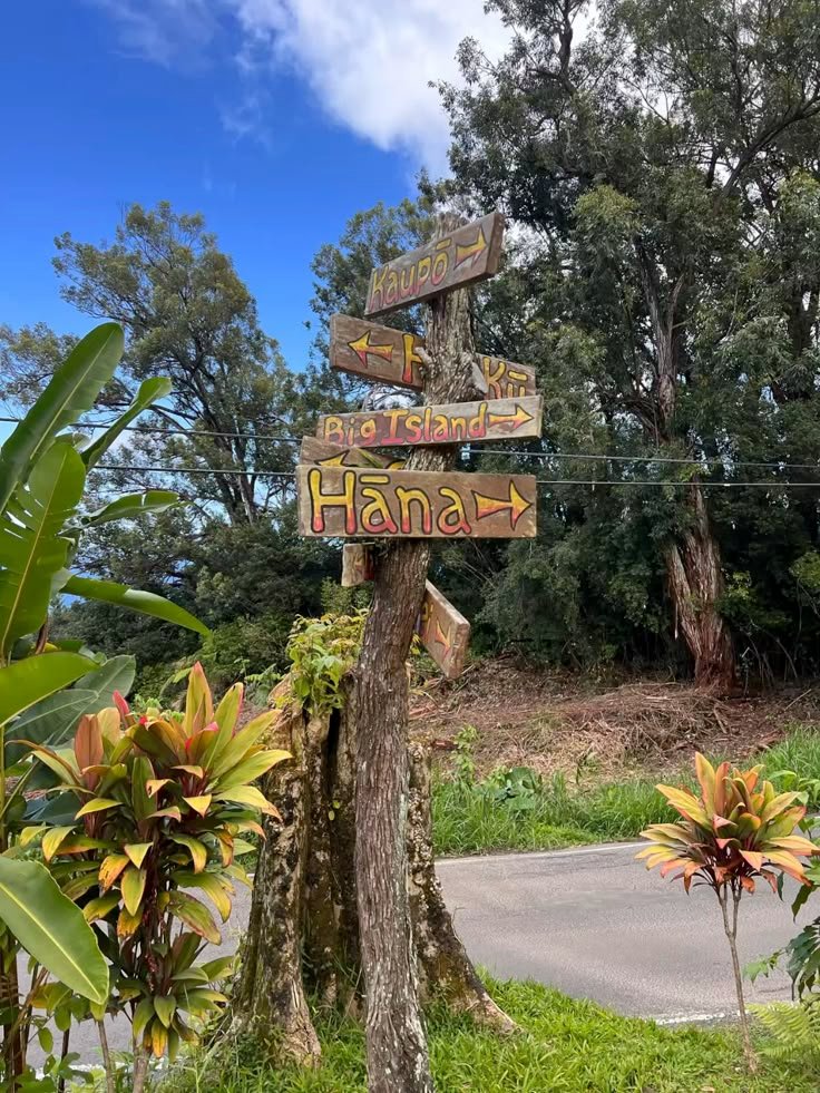 Hawaii Road to Hana