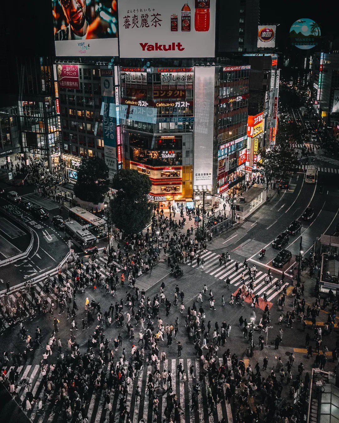 Shibuya Crossing at Night