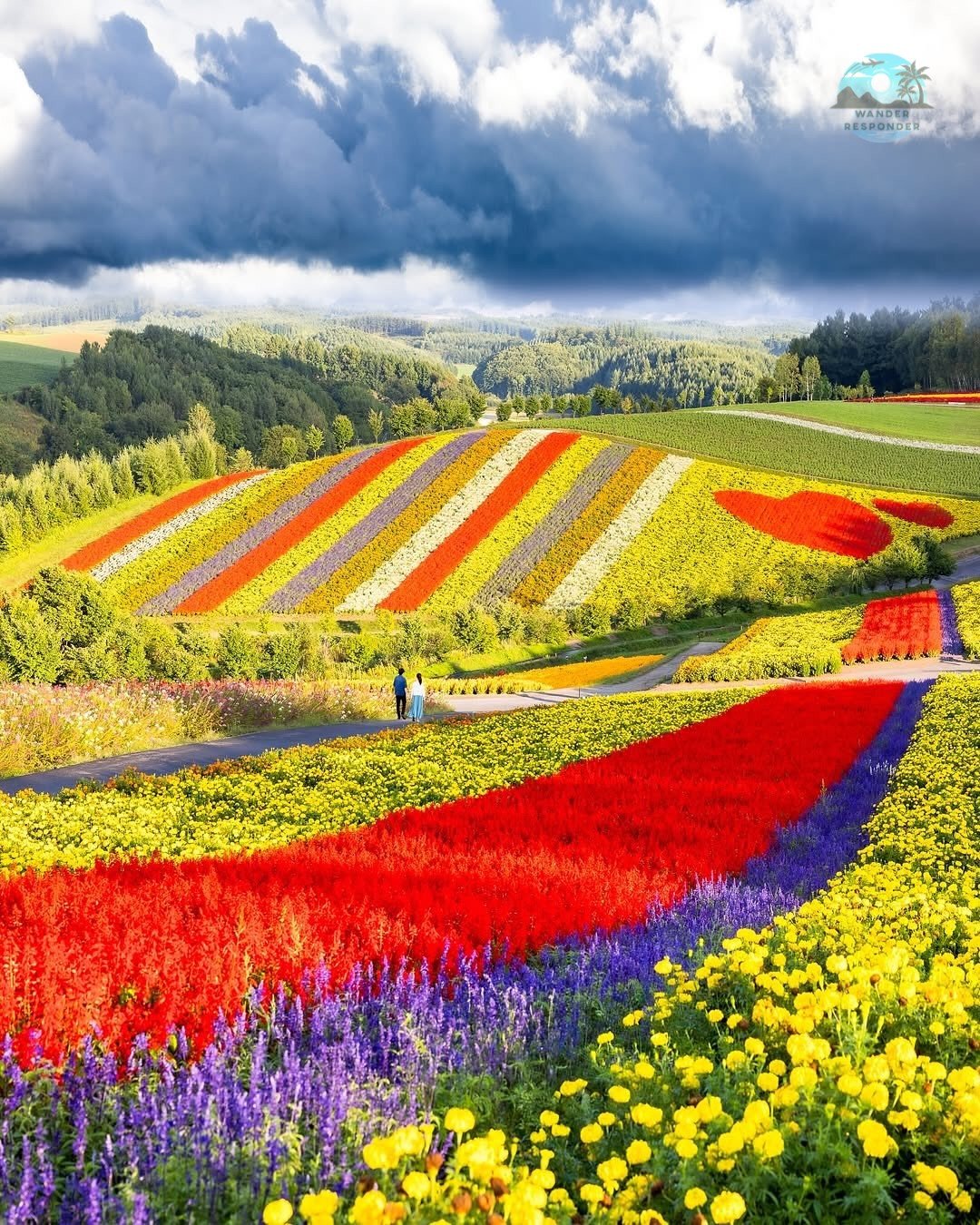 Shikisai-no-Oka Flower Gardens
