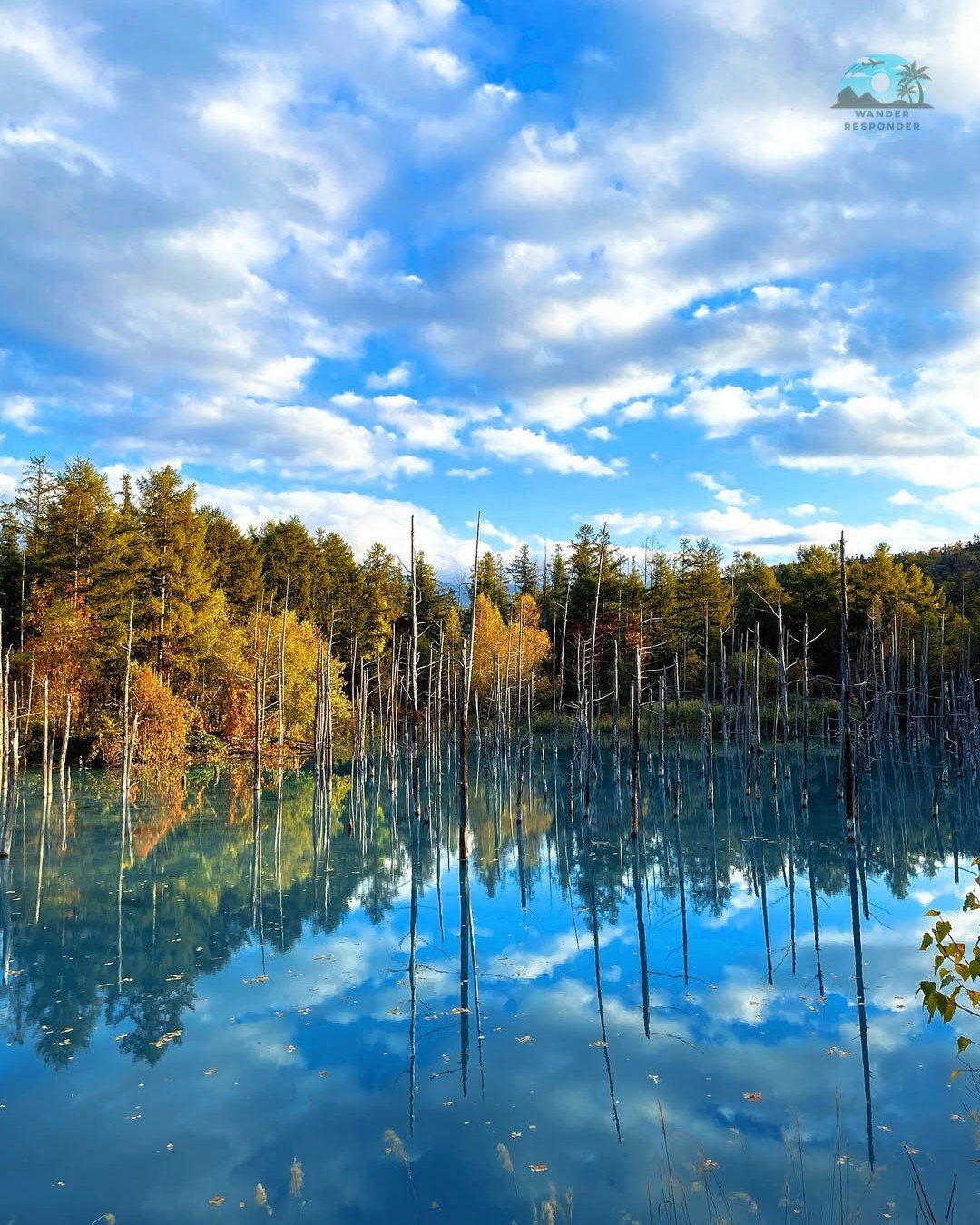 Shirogate Bleu Pond
