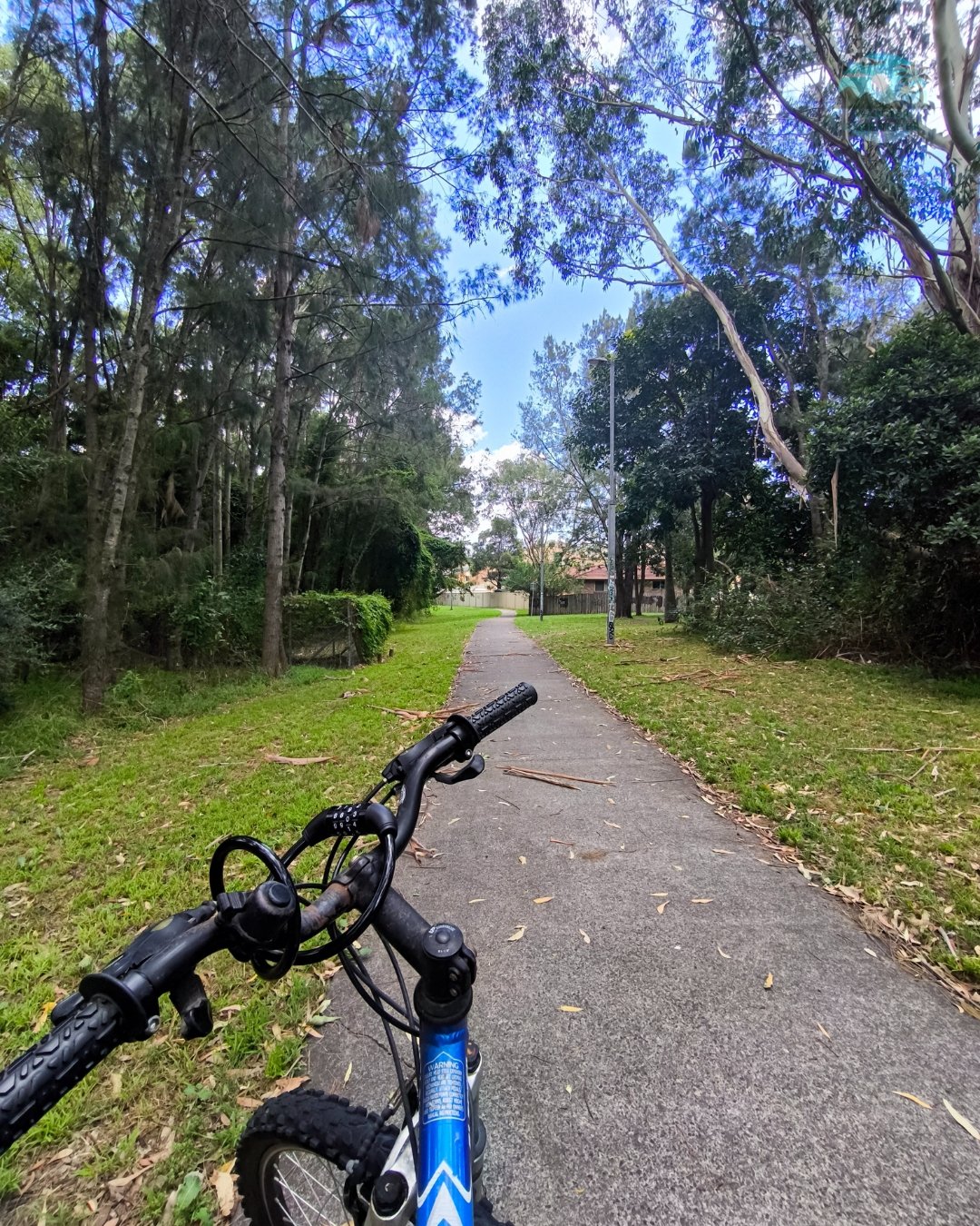 Ride Through Park