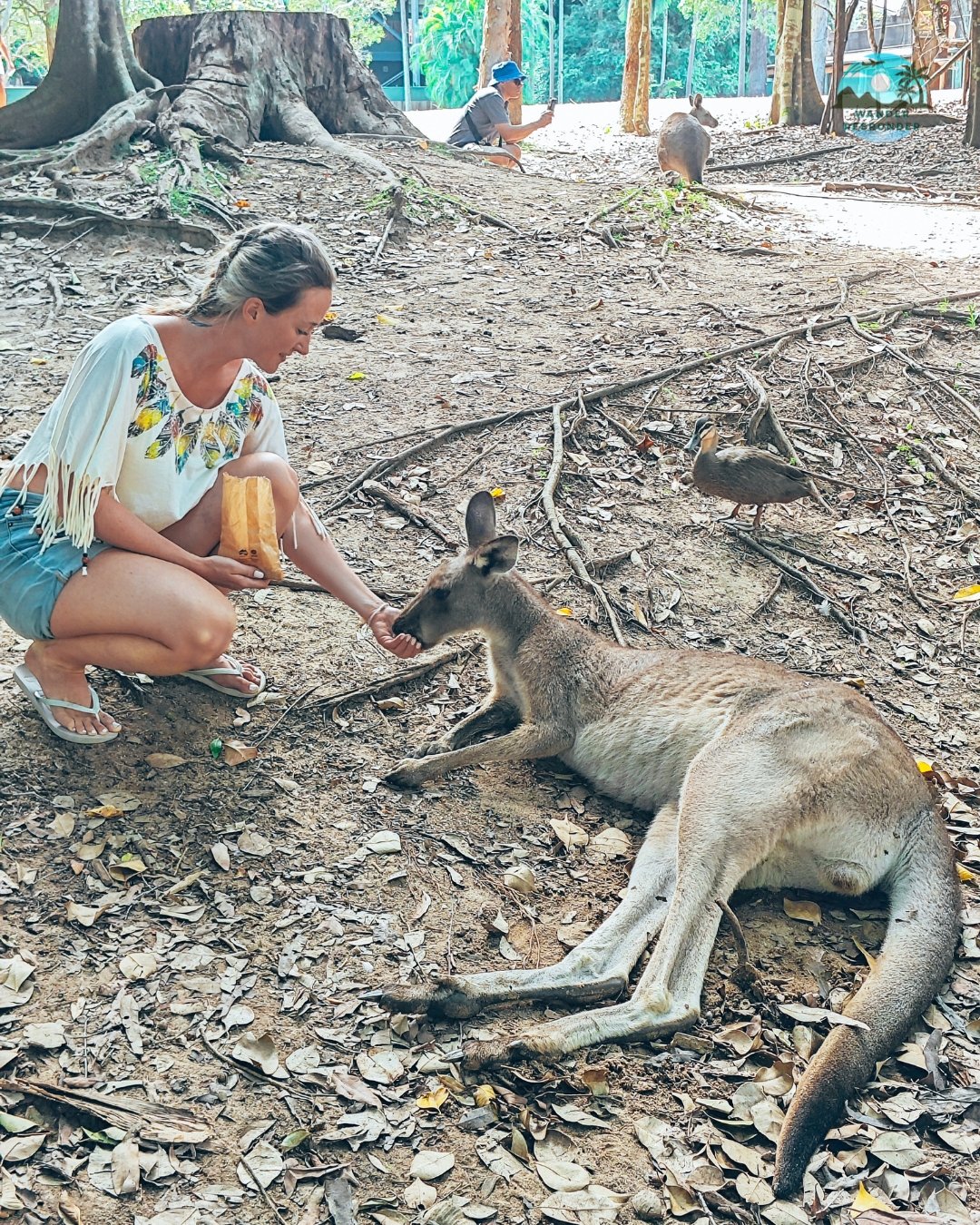 Mansa Roo Feeding