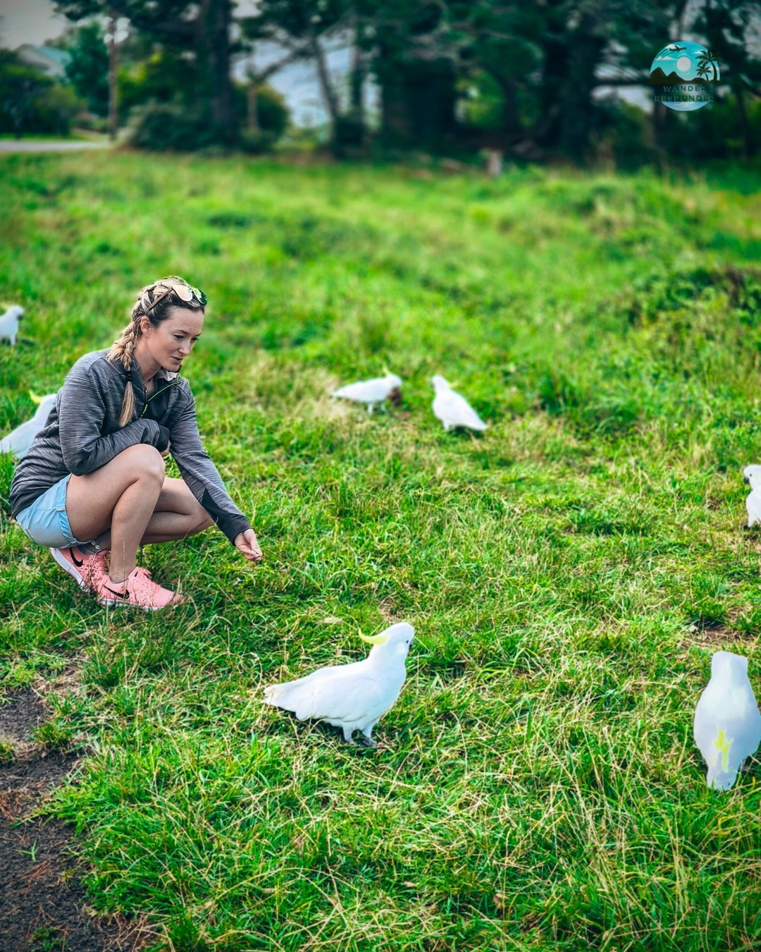 Mansa with Cockatoo Group