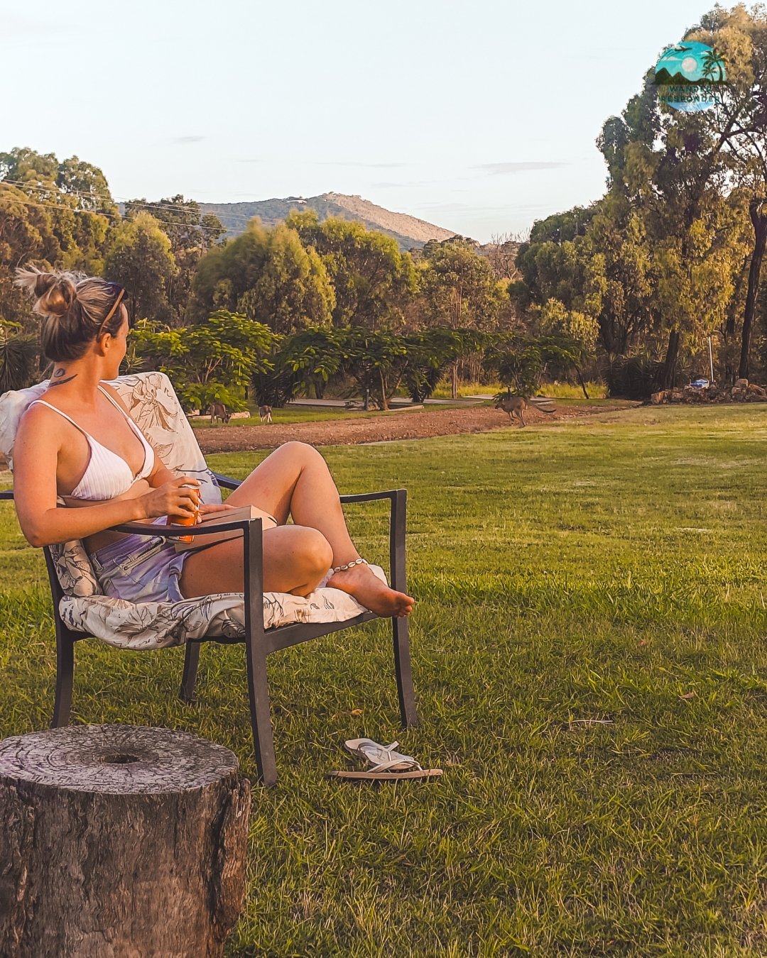 Mansa with Kangaroos Dusk