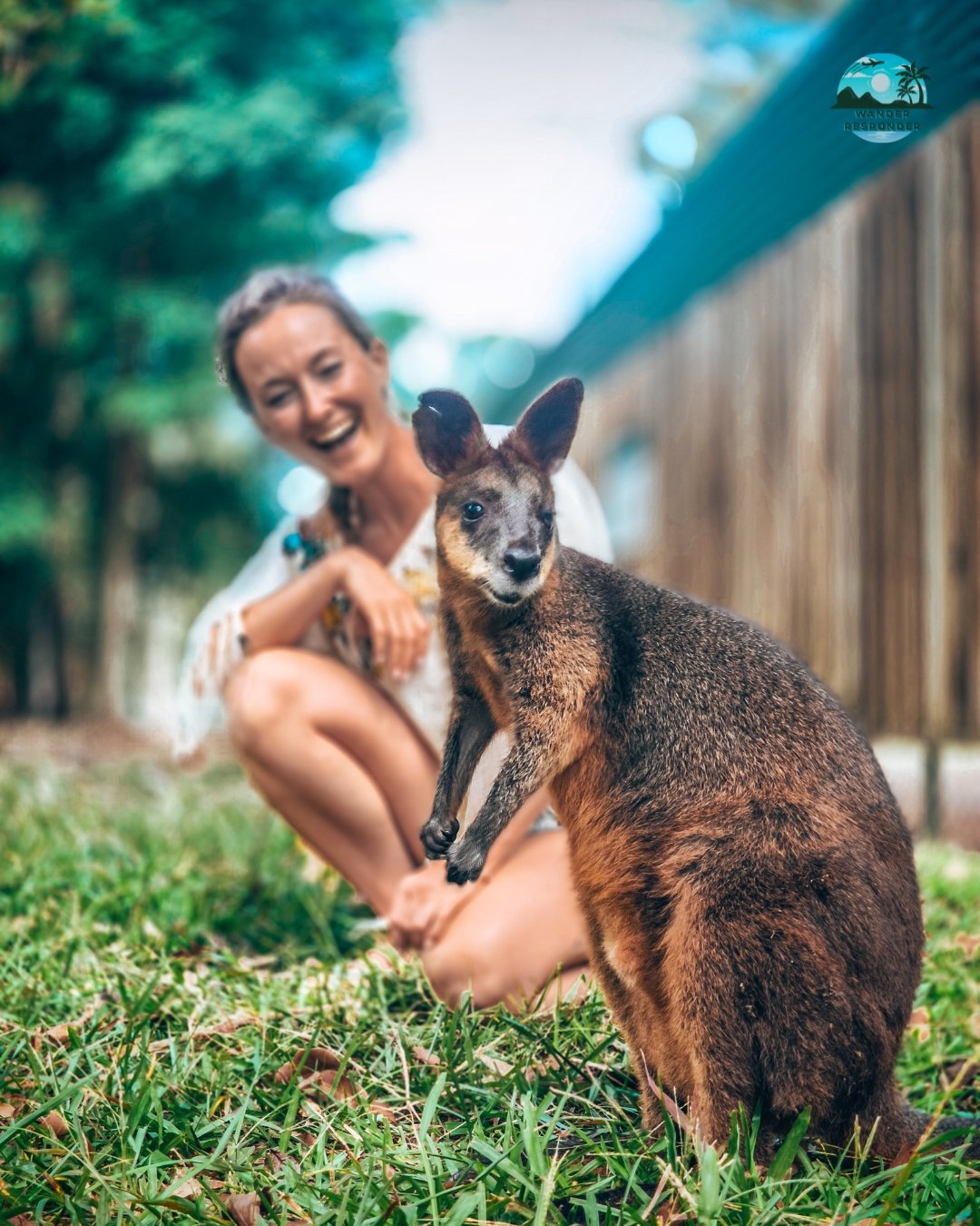 Mansa Baby Kangaroo