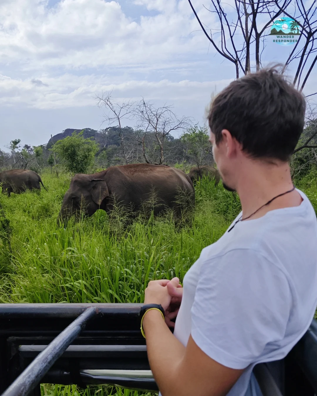 Matt Sri Lanka Safari Elephant