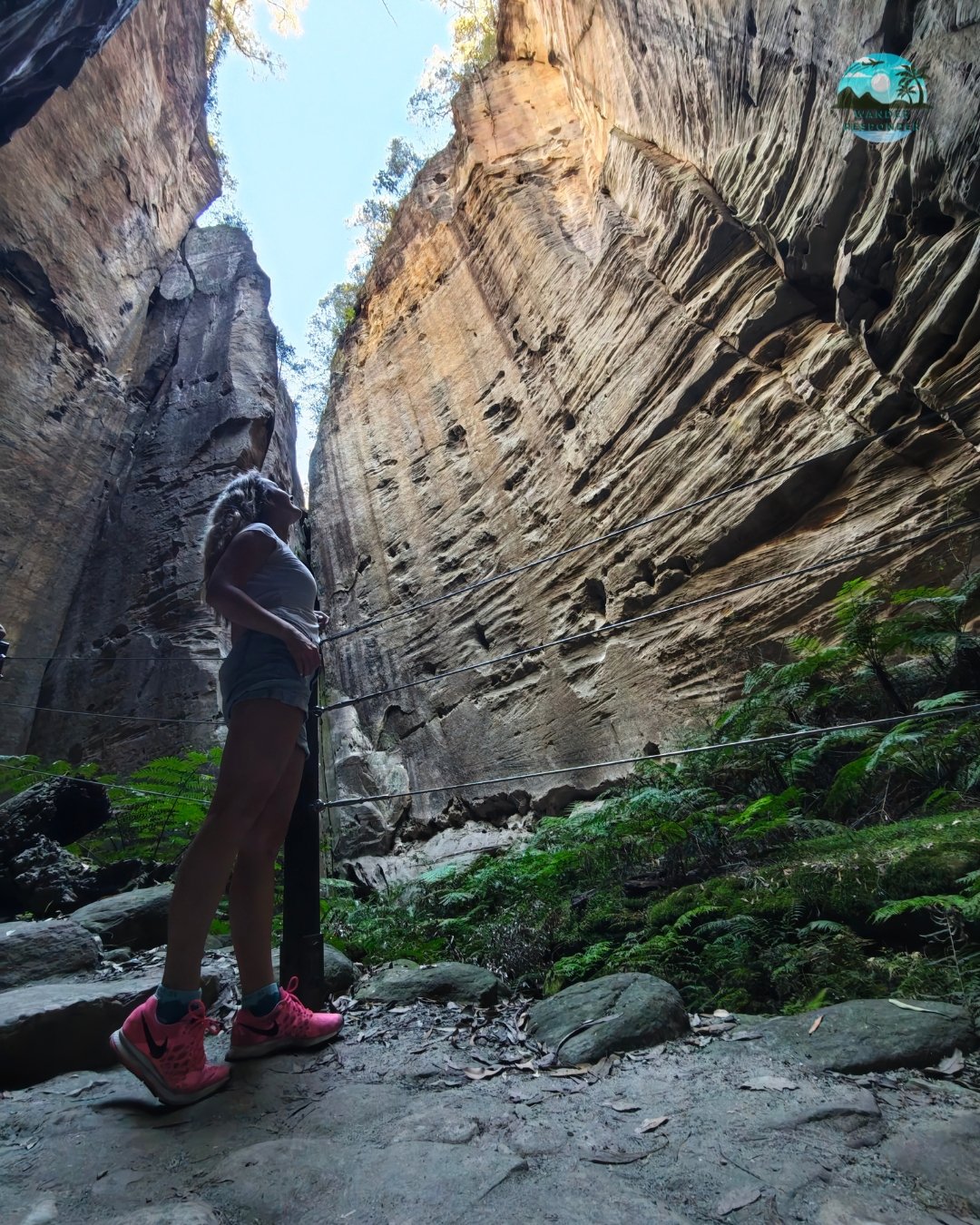 Carnarvnon Gorge Amphitheatre Mansa