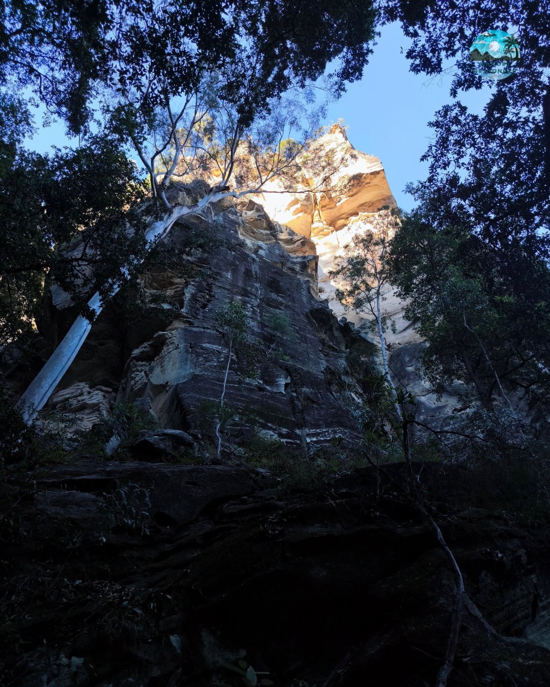 Carnarvnon Gorge Cliff