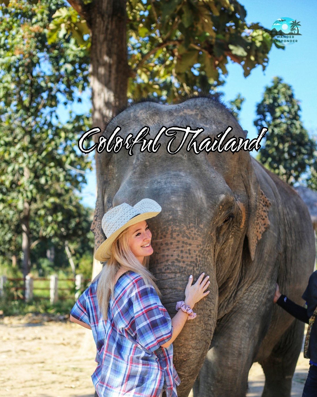 Mansa Elephant Colorful Thailand