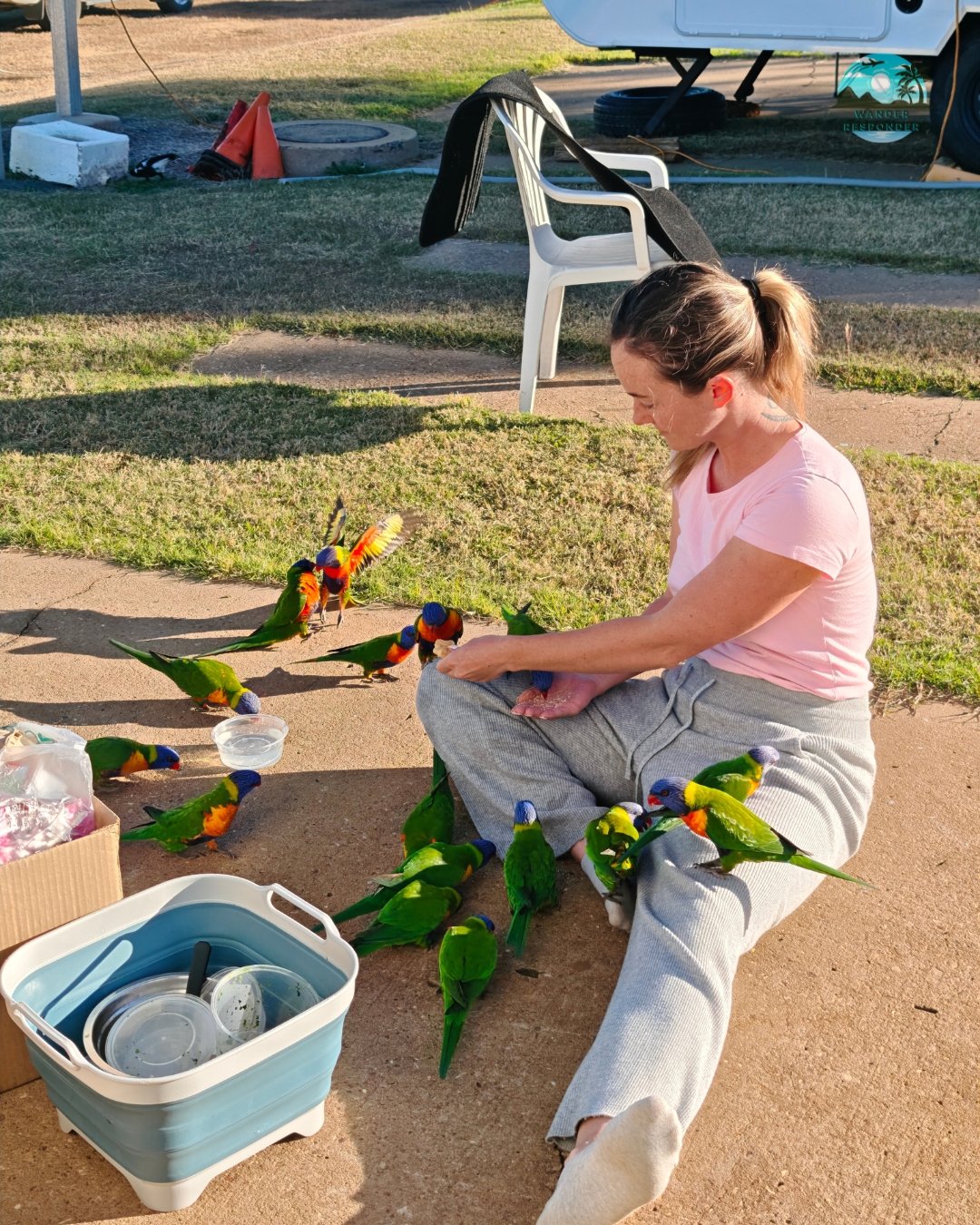 Mansa Lorikeet Party 1