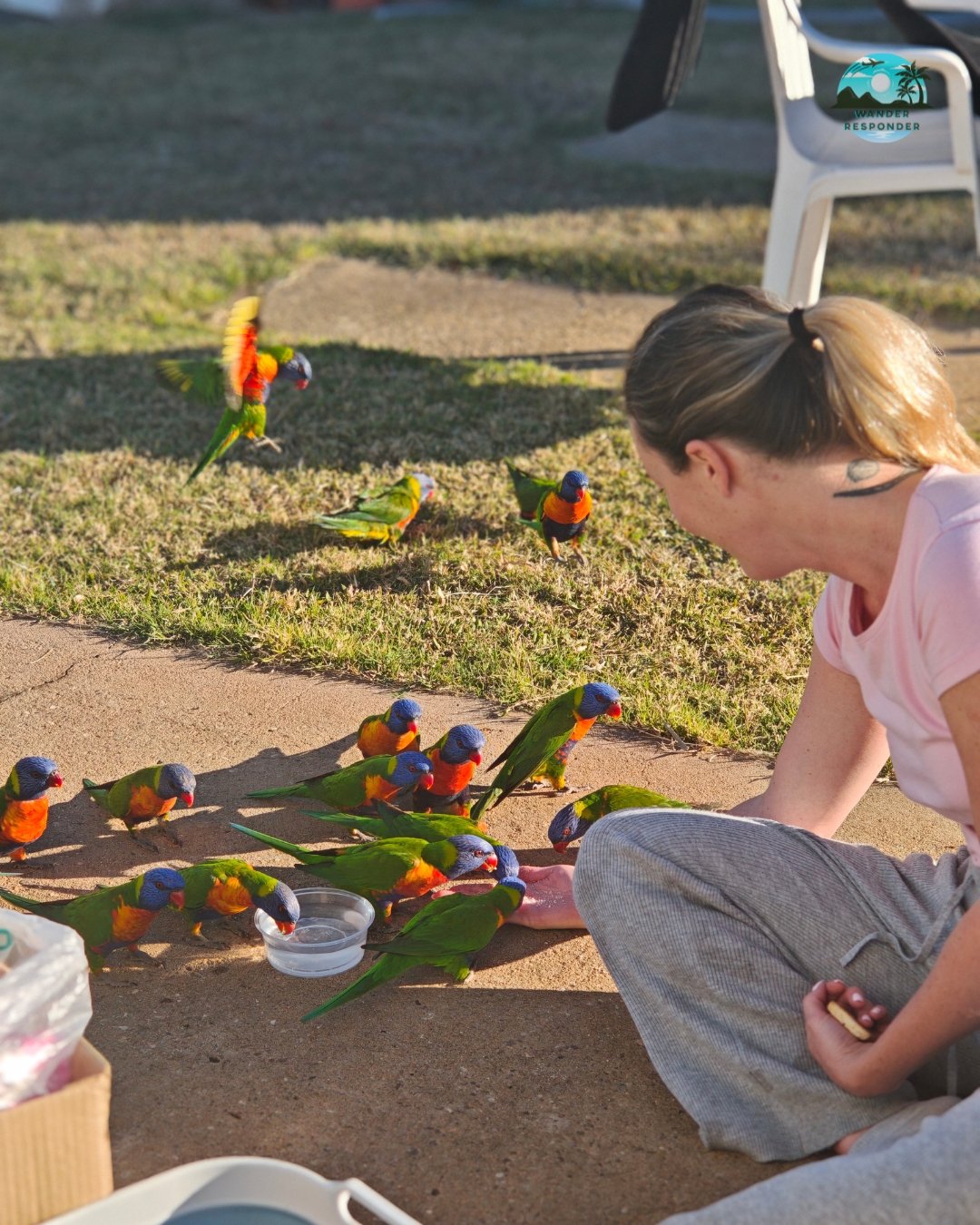 Mansa Lorikeet Party 2