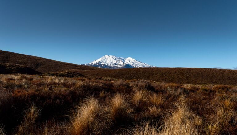 Common Mistakes Hikers Make on Tongariro Alpine Crossing