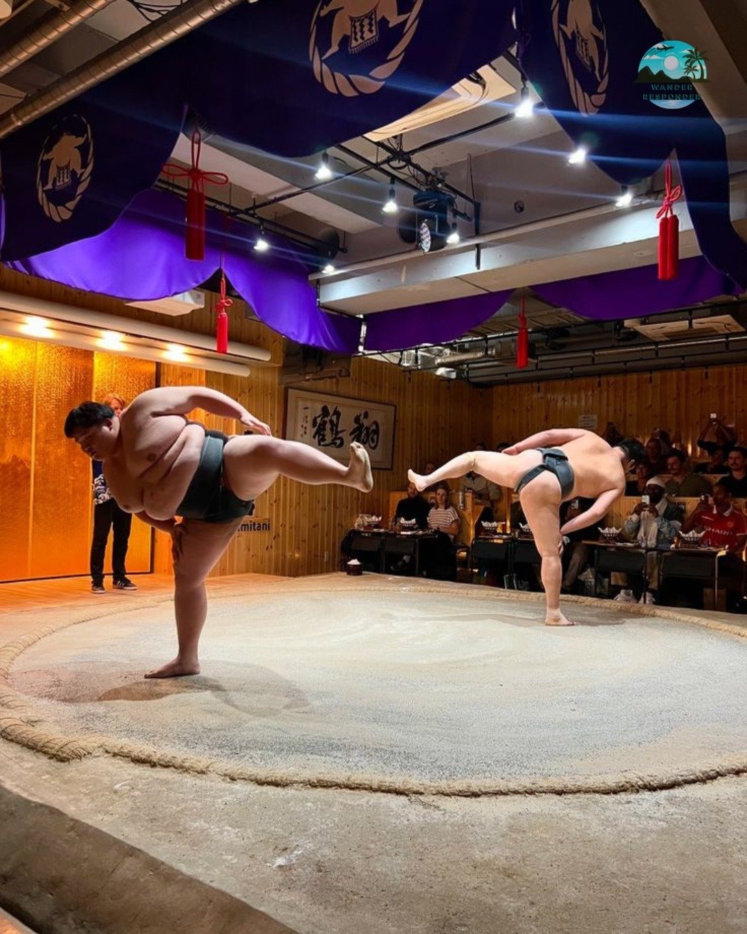 Sumo Training