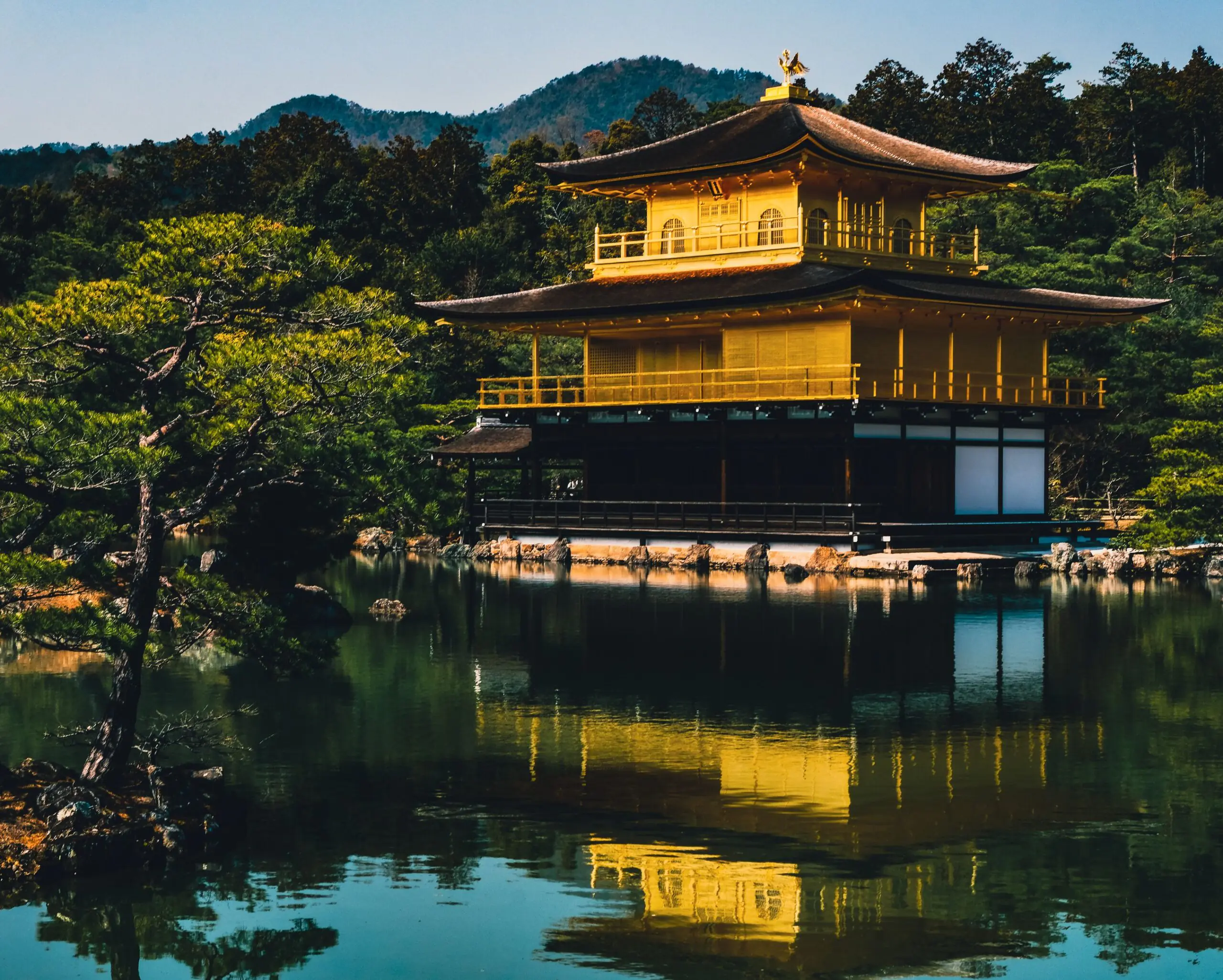 Neverjetna Japonska Banner