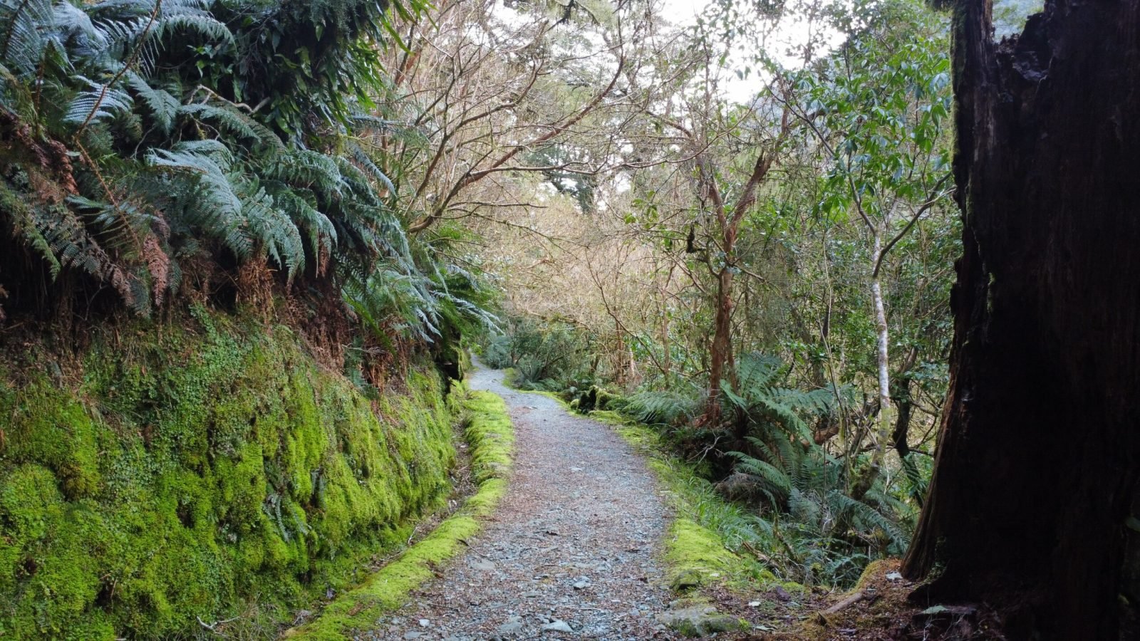 New Zealand, Summit Key, Path