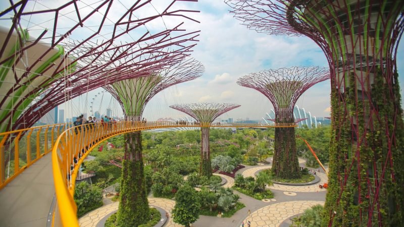 Explore the Singapur Gardens Supertree Grovebreathtaking Gardens by the Bay with towering Supertrees and lush greenery in Singapore.