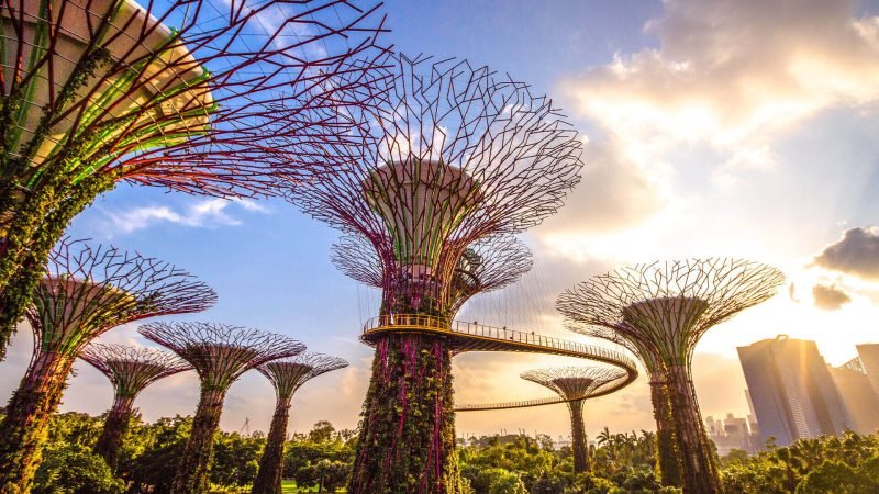 Singapur Gardens Supertree Grove